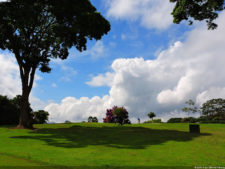LXII Campeonato Nacional Amateur de Damas de Venezuela