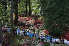 Masters: 2da Ronda (cortesía © Augusta National 2015)
