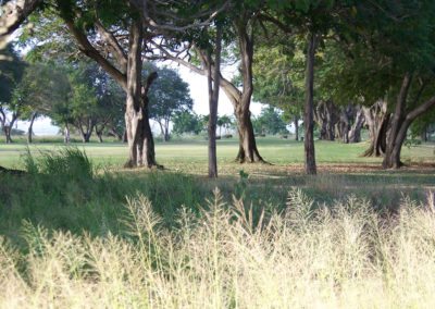 Otto Solís ganó e igualó récord en X Abierto Sambil de Golf