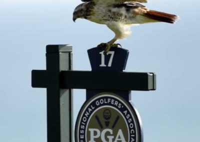 97º PGA Championship, 2do día (cortesía USA TODAY Sports & The PGA of America)