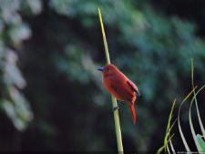 Selección 2da Ronda XII Abierto Sambil presentado por Total Nutrition