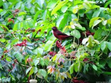 Selección 2da Ronda XII Abierto Sambil presentado por Total Nutrition