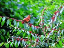 Selección 2da Ronda XII Abierto Sambil presentado por Total Nutrition
