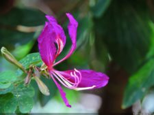 Selección 2da Ronda XII Abierto Sambil presentado por Total Nutrition