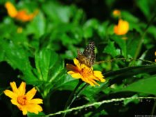 Selección 3ra ronda XII Abierto Sambil presentado por Total Nutrition