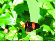 Selección 3ra ronda XII Abierto Sambil presentado por Total Nutrition