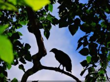 Selección 3ra ronda XII Abierto Sambil presentado por Total Nutrition