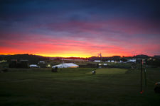 Muestra fotográfica memorable del 116º US Open en Oakmont Golf Club (cortesía © USGA 2016)