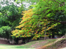 Torneo Blinsafe un éxito