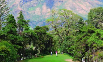 Torneo Pro-Amistad Junko Golf Club