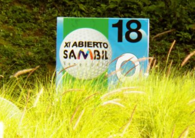 XI Abierto Sambil, ProAm Copa Provincial