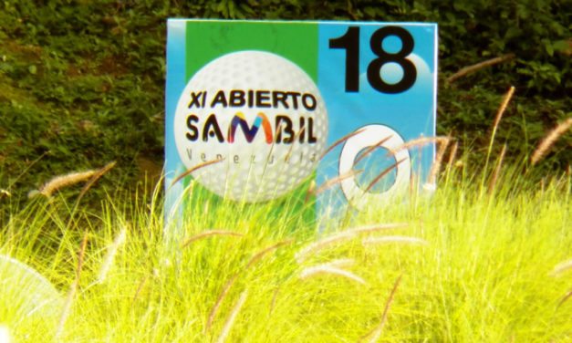 XI Abierto Sambil, ProAm Copa Provincial (cont)