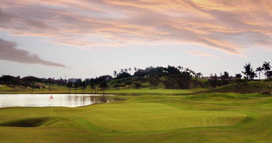 “Ten cuidado a qué árbol te arrimas para desarrollar un campo de golf”