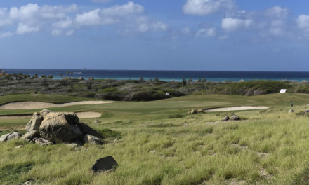 Todo listo para edición inaugural de la Aruba Cup