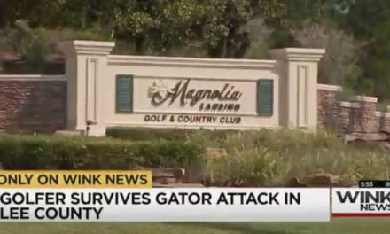 Video, golfista se salva del ataque de un caimán mientras jugaba al golf utilizando su putter