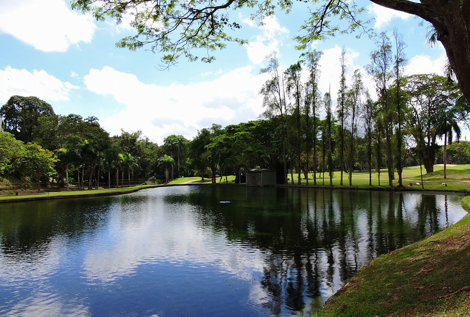 Galería 1a Ronda Abierto Lagunita Country Club 2017