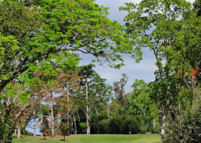 Galería 1a Ronda Abierto Lagunita Country Club 2017