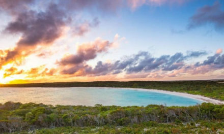 Tiger Woods está construyendo un campo de golf en Bahamas