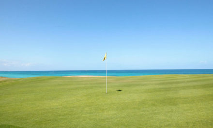 Punta Colorada Golf Marina: la república, el socialismo y el futuro de Cuba