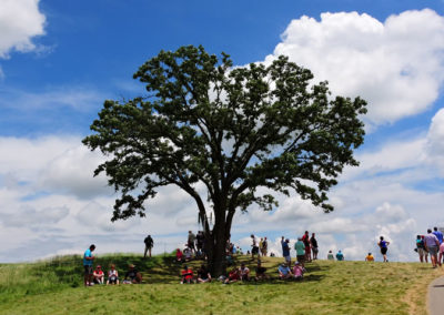 Galería de selección de fotos de 3ra ronda del 117º US Open en Erin Hills cortesía de la Revista Fairway