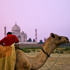 F - Agra (cortesía Trey Ratcliff)