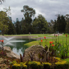 XXIX Abierto Serta de Golf. Tour Profesional
