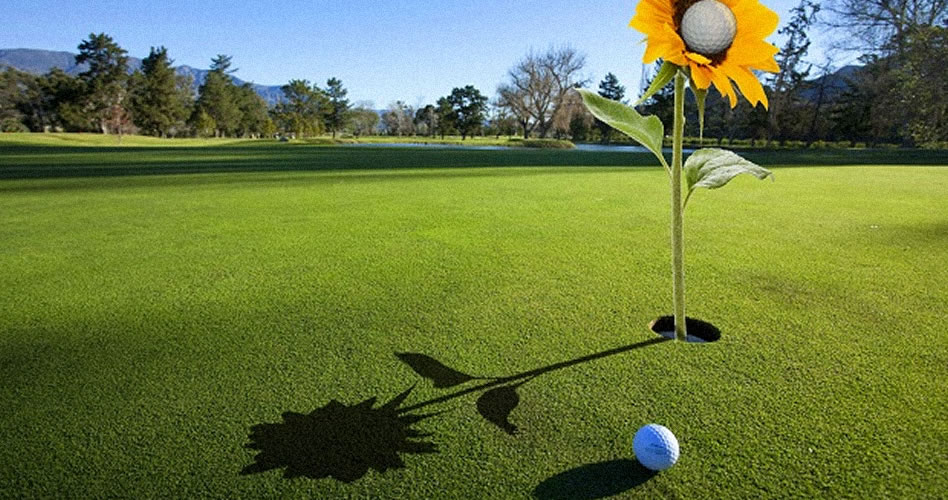 Asciende base de consumidores de golf en los Estados Unidos