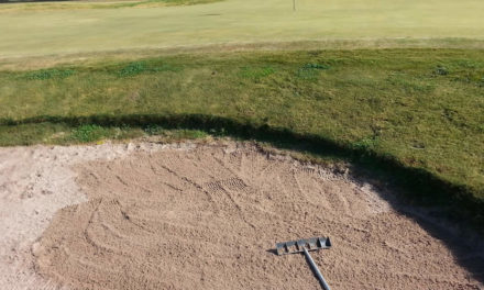 Arena de Bunkers y Renovación