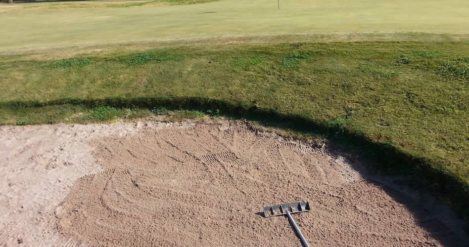 Arena de Bunkers y Renovación