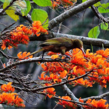 XIV Abierto Sambil, galería de fotos domingo 27