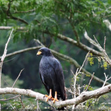 XIV Abierto Sambil, galería jueves