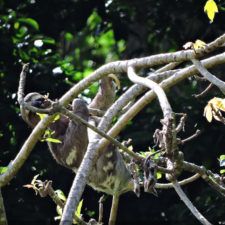 XIV Abierto Sambil, galería sábado