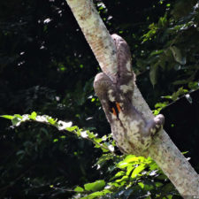 XIV Abierto Sambil, galería sábado