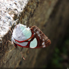XIV Abierto Sambil, galería sábado