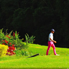 XIV Abierto Sambil, galería viernes