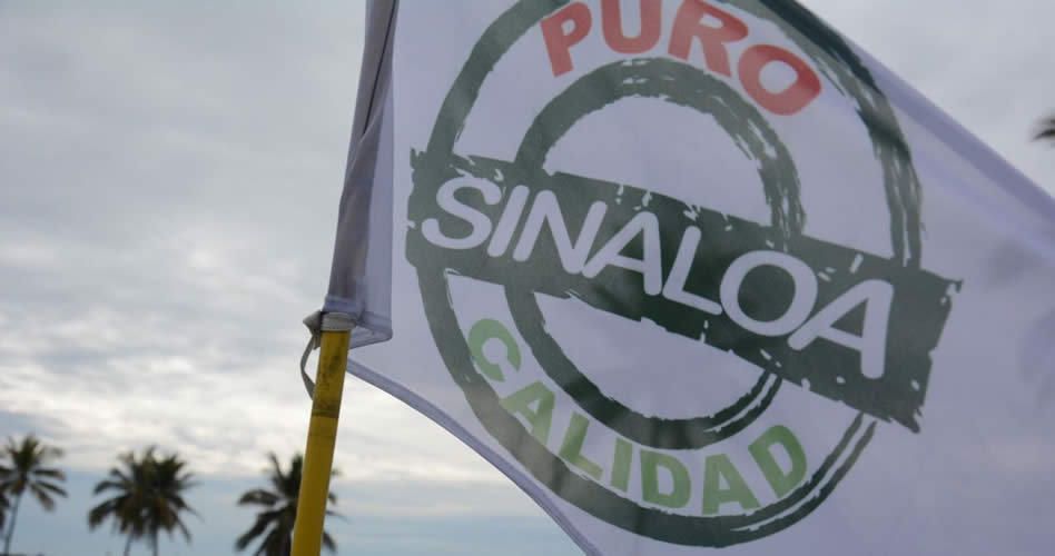 Bajo lluvia el Pro-Am del GNAPGT en Mazatlán