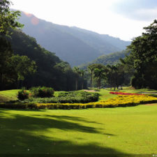 La naturaleza distintiva de Izcaragua es su vegetación