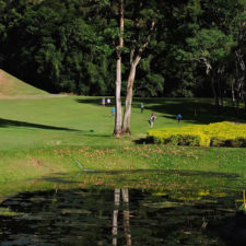 La naturaleza distintiva de Izcaragua es su vegetación