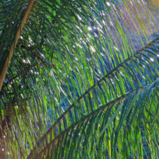 La naturaleza distintiva de Izcaragua es su vegetación