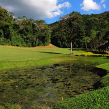 La naturaleza distintiva de Izcaragua es su vegetación