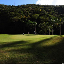 La naturaleza distintiva de Izcaragua es su vegetación