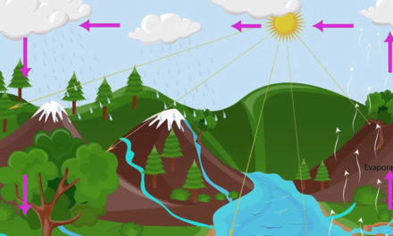 ¿Para dónde se va el agua? Ciclo del agua de riego