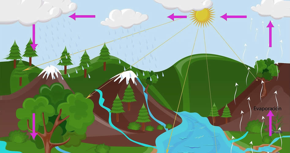 ¿Para dónde se va el agua? Ciclo del agua de riego