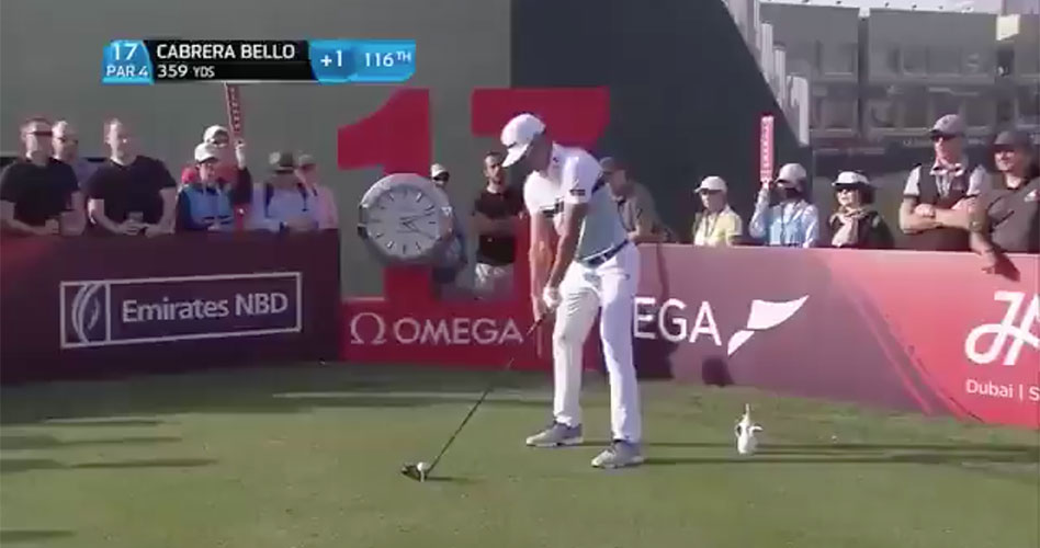 El final estratosférico de Cabrera Bello: eagle-eagle