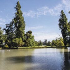 Prince of Wales Country Club, la escena del Campeón del LAAC