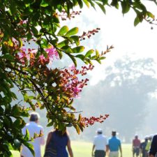 Prince of Wales Country Club, la escena del Campeón del LAAC