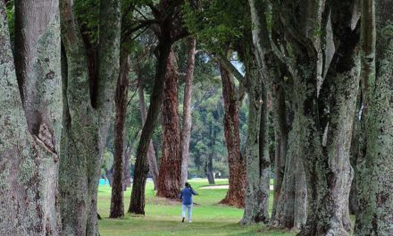 El centenario de algunos clubes de golf