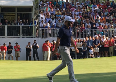 Dustin Johnson green