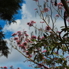 Galería de fotos Torneo FVG-VAGC, día domingo