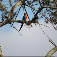Galería de fotos Torneo FVG-VAGC, día domingo
